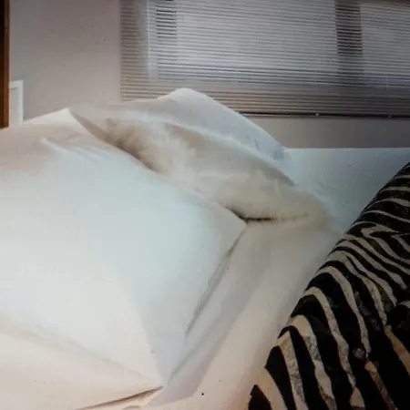 Apartment De Luxe A *